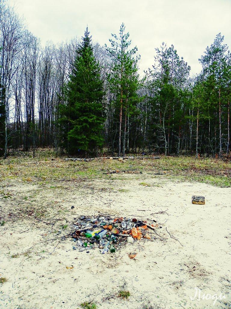 Грибова Рудня з panoramio.com - Грибова Рудня