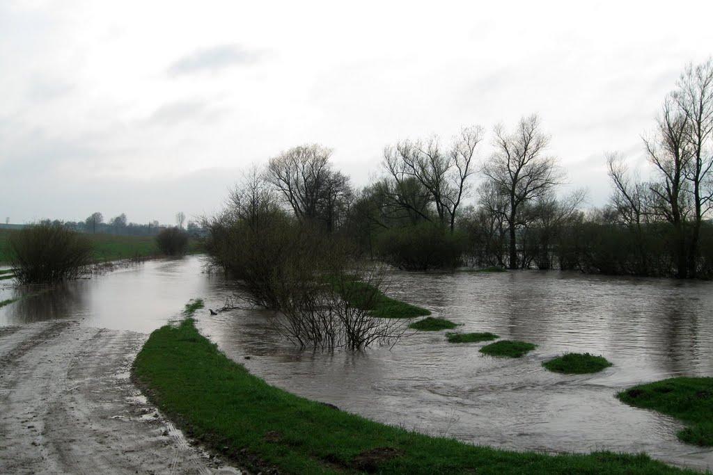 Санники з panoramio.com - Санники