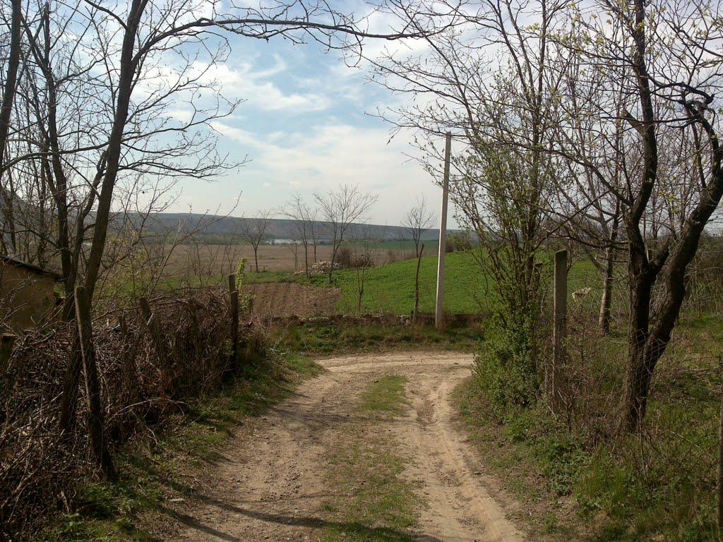 Велика Кісниця з panoramio.com - Велика Кісниця