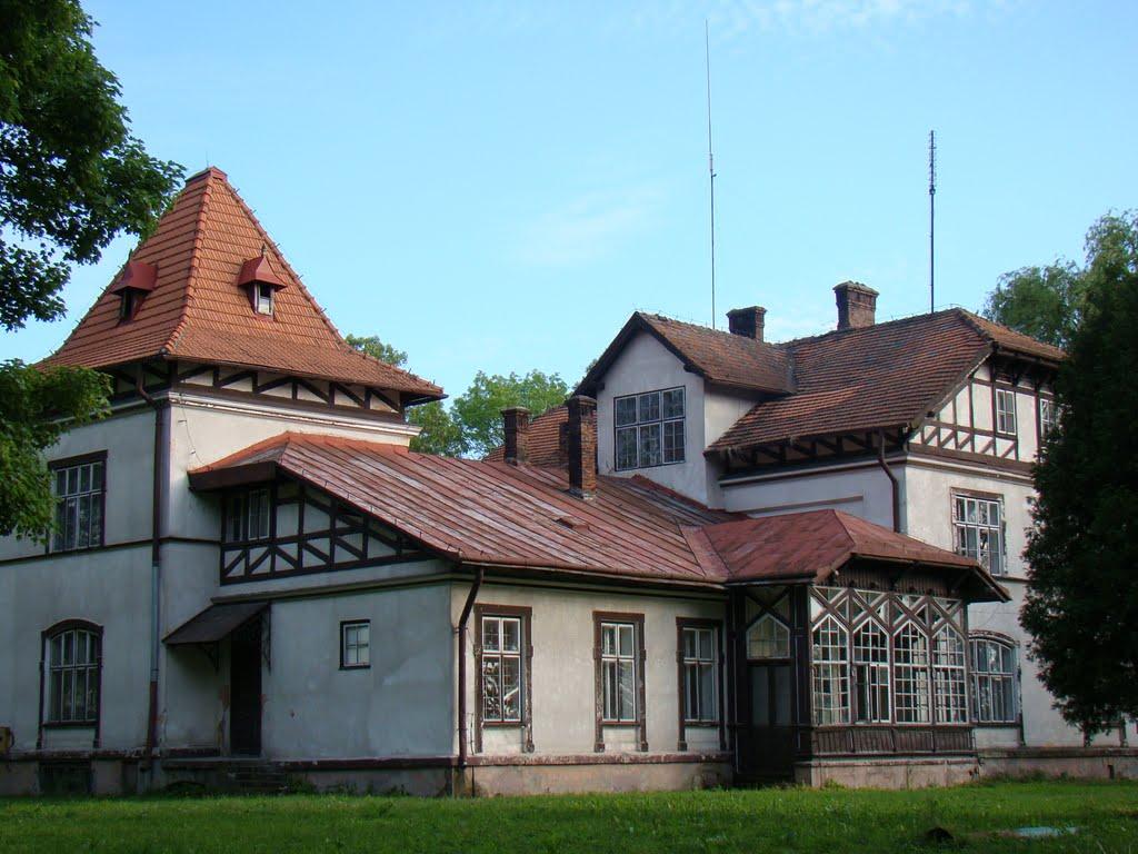 Биків з panoramio.com - Быков