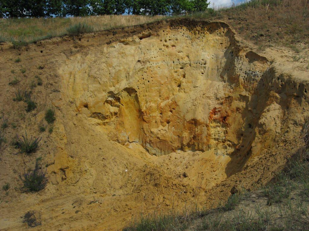 Вільшани з panoramio.com - Ольшаны