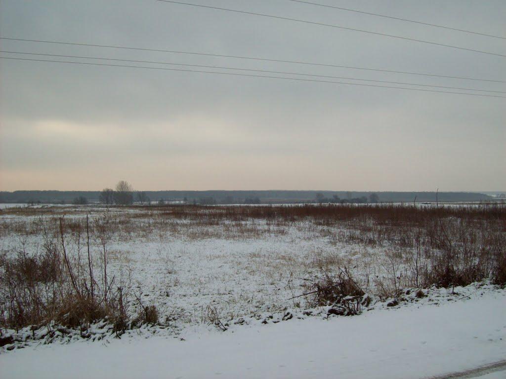 Хрінники з panoramio.com - Хренники