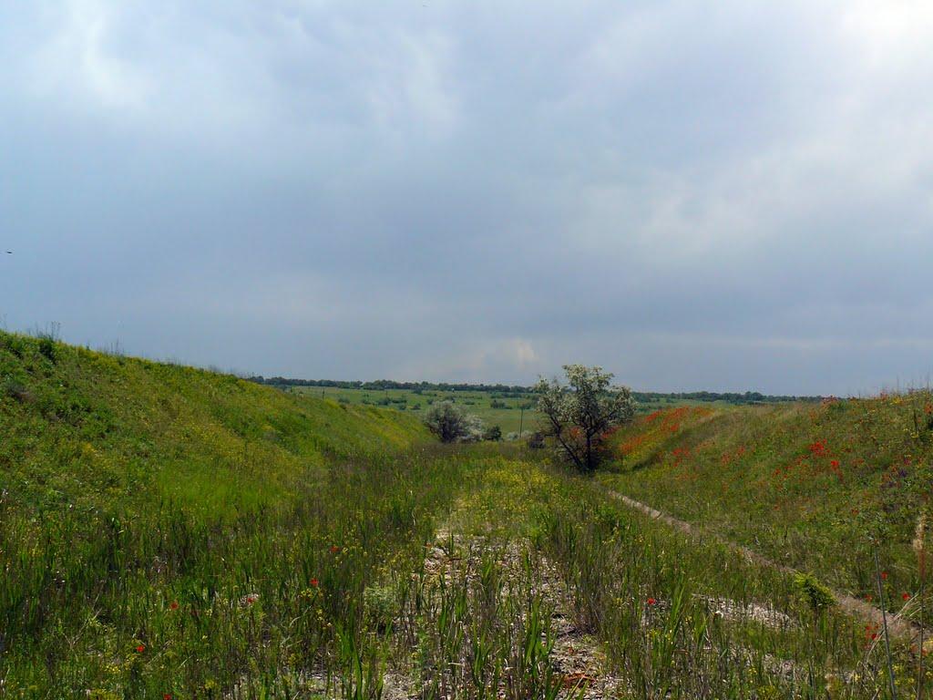 Степногірськ з panoramio.com - Степногорск