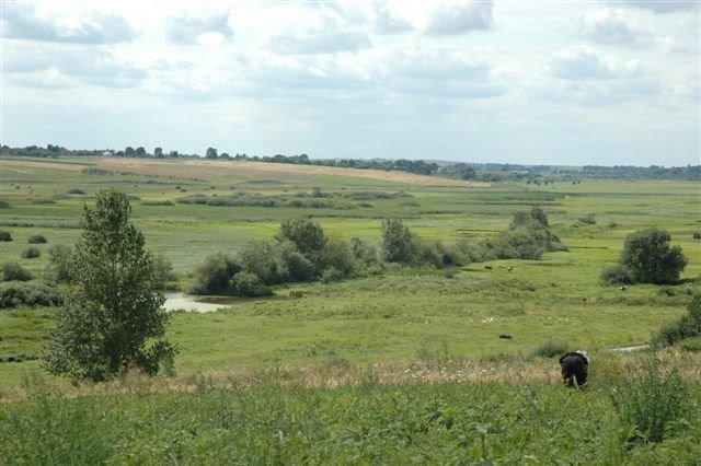 Гать з panoramio.com - Гать