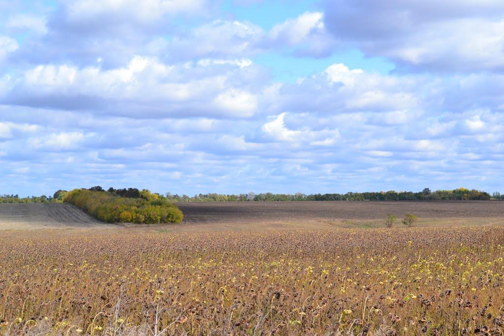 Новомлинівка з panoramio.com - Новомлинівка