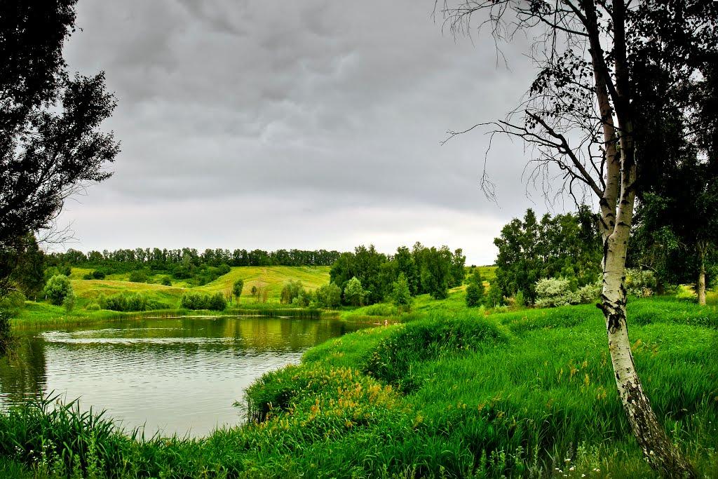 Вільшани з panoramio.com - Ольшаны