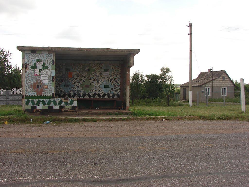 Рози Люксенбург з panoramio.com - Новое Шахово