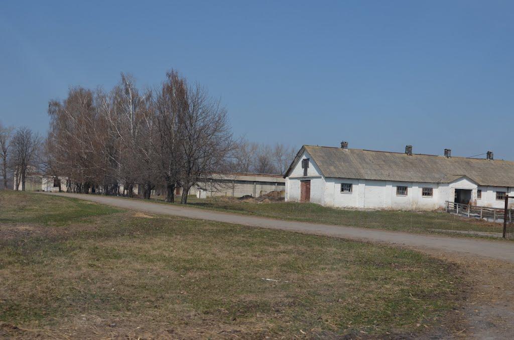 Родниківка з panoramio.com - Rodnykivka