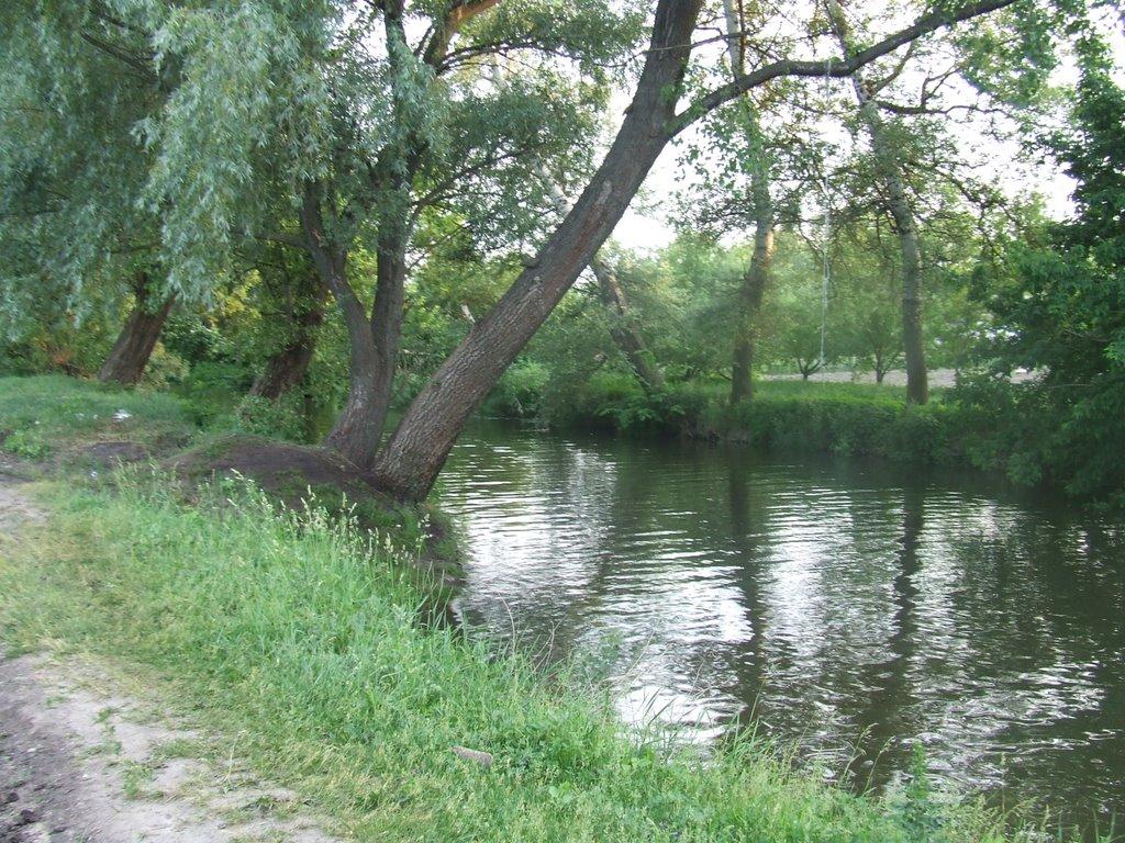 Піщане з panoramio.com - Піщане