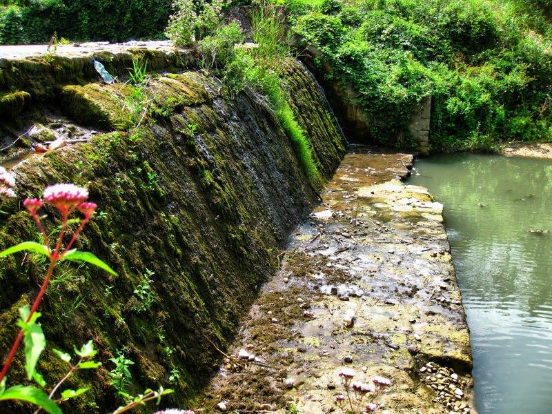 Багате з panoramio.com - Багате