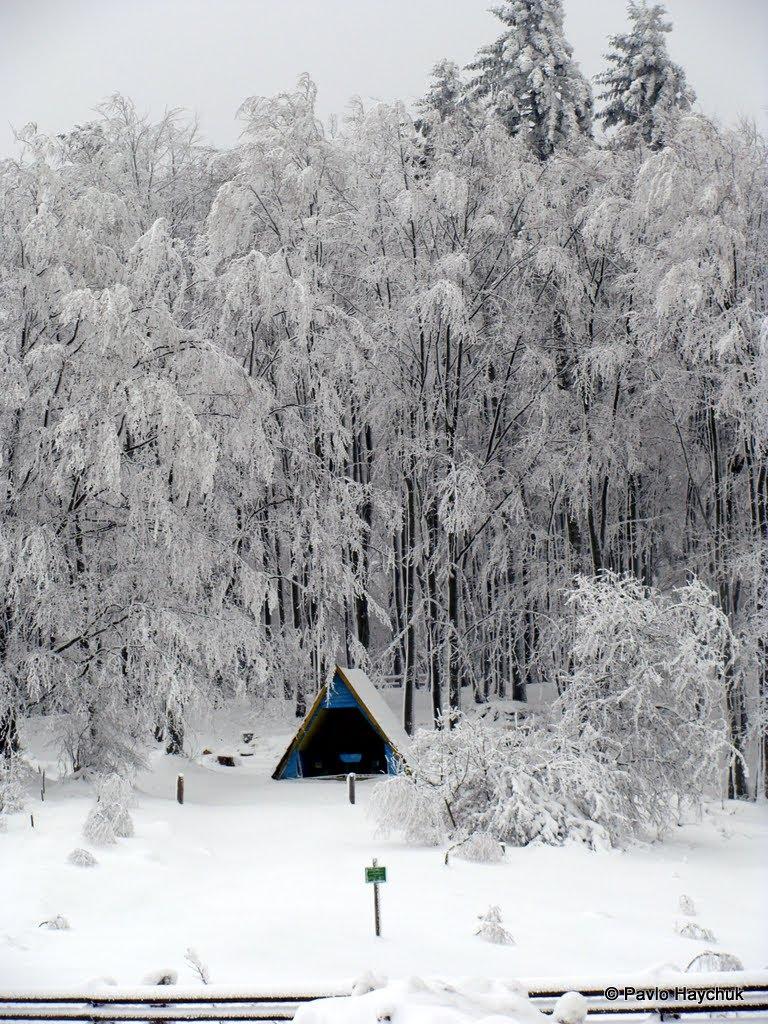Ужок з panoramio.com - Ужок