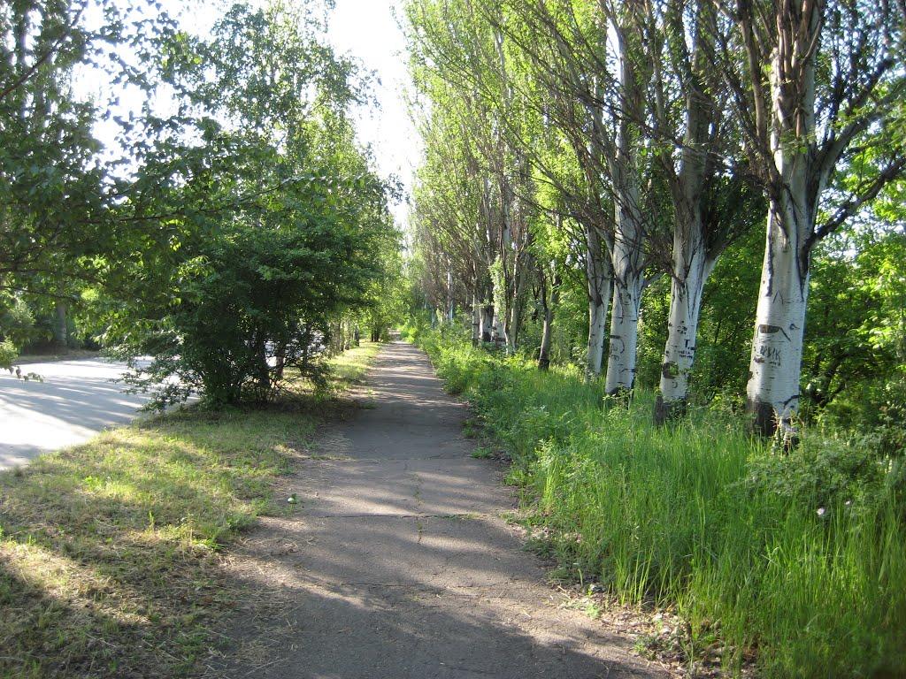 Кам'яне Поле з panoramio.com - Kamyane Pole