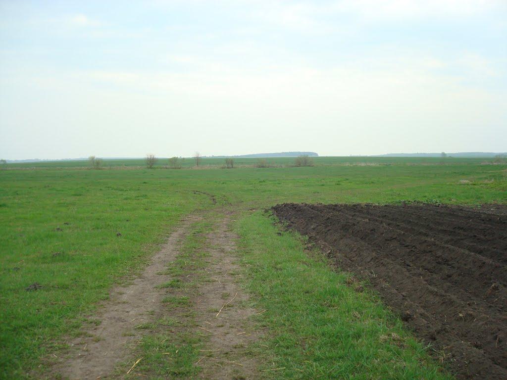 Дроздні з panoramio.com - Дроздни