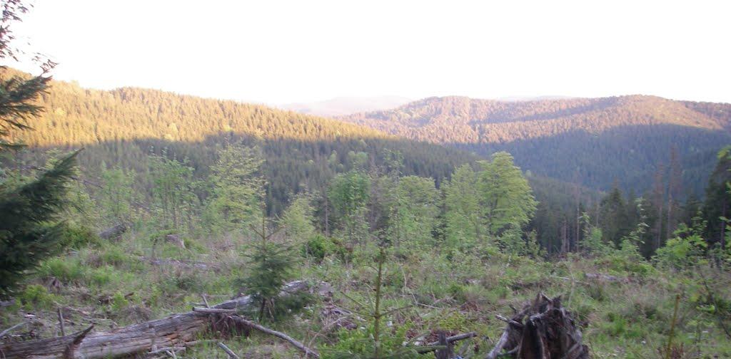 Береги з panoramio.com - Береги