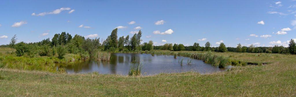 Дениші з panoramio.com - Дениші