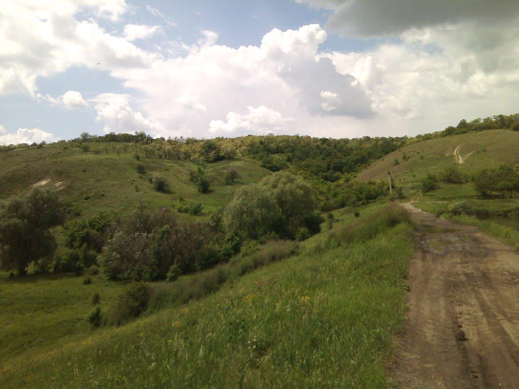 Василівська Пустош з panoramio.com - Василівська Пустош