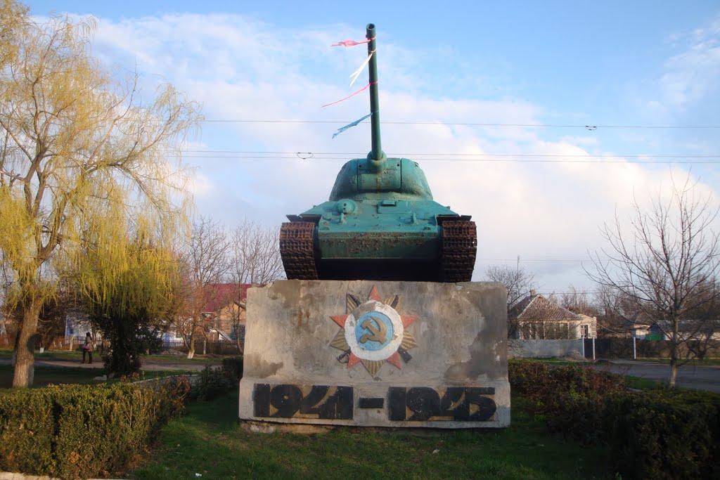 Веснянка з panoramio.com - Веснянка