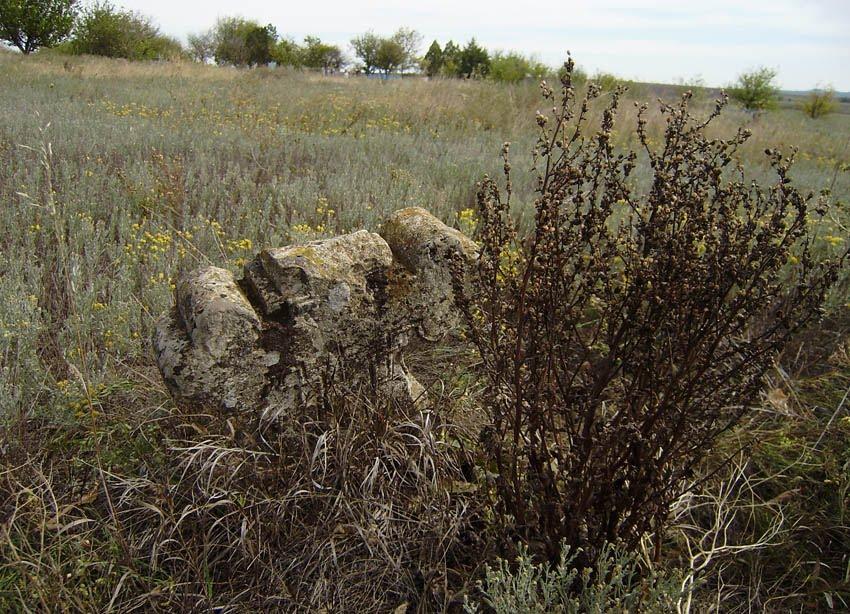 Гребеники з panoramio.com - Гребеники