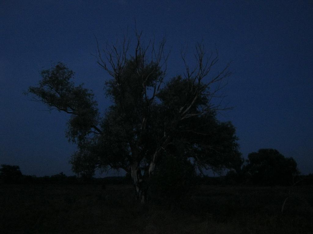 Велика Чернеччина з panoramio.com - Велика Чернеччина