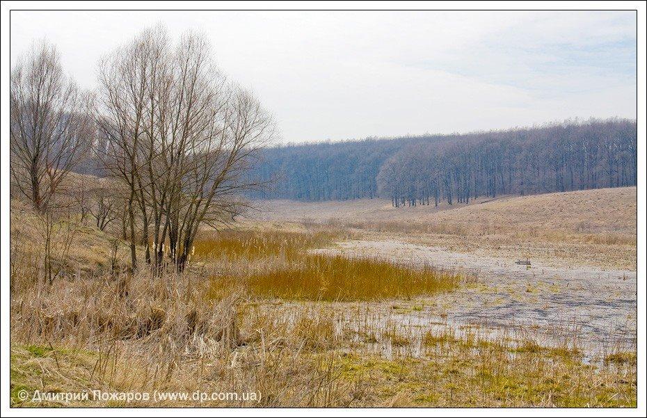 Польова з panoramio.com - Польова