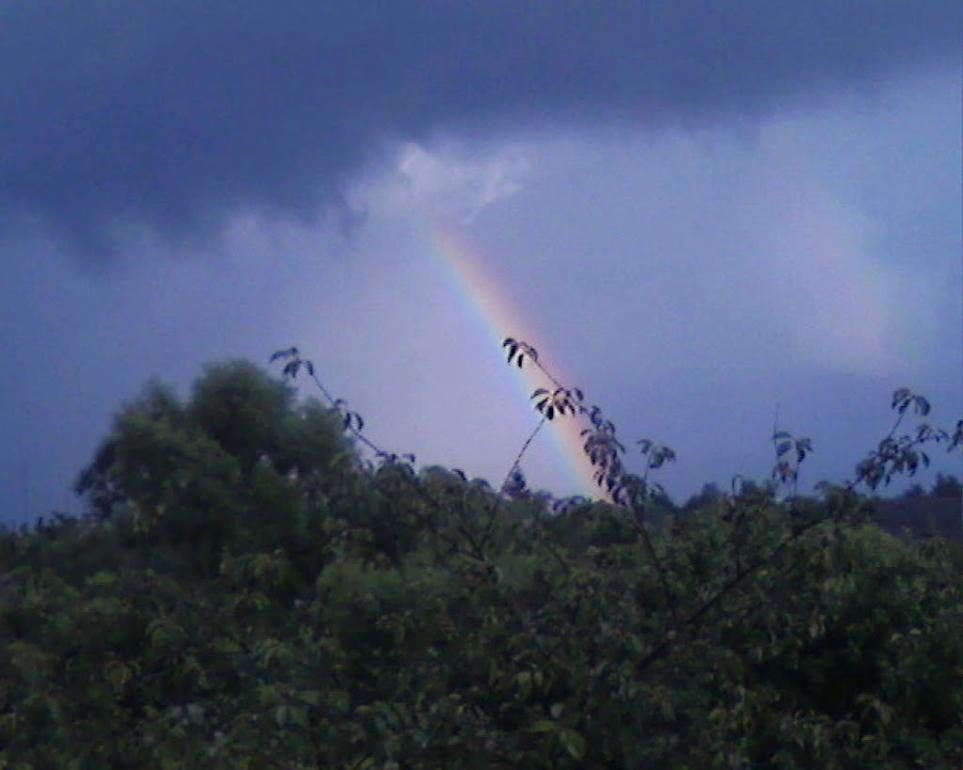 Шацьк з panoramio.com - Шацк