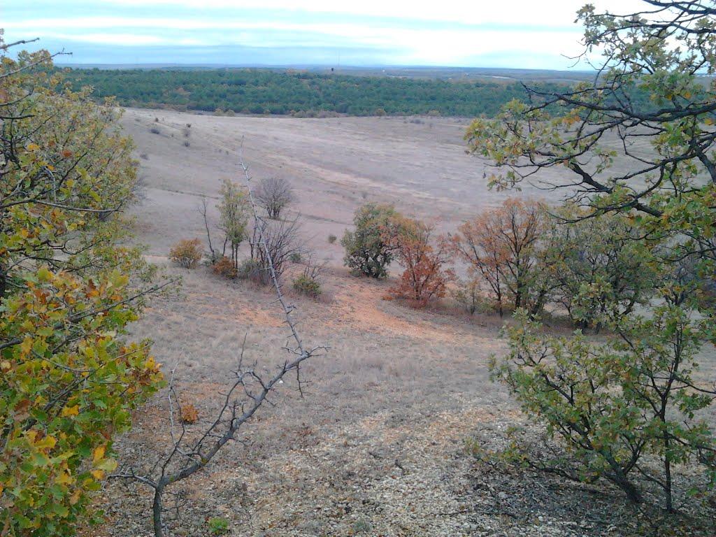 Любимівка з panoramio.com - Любимовка