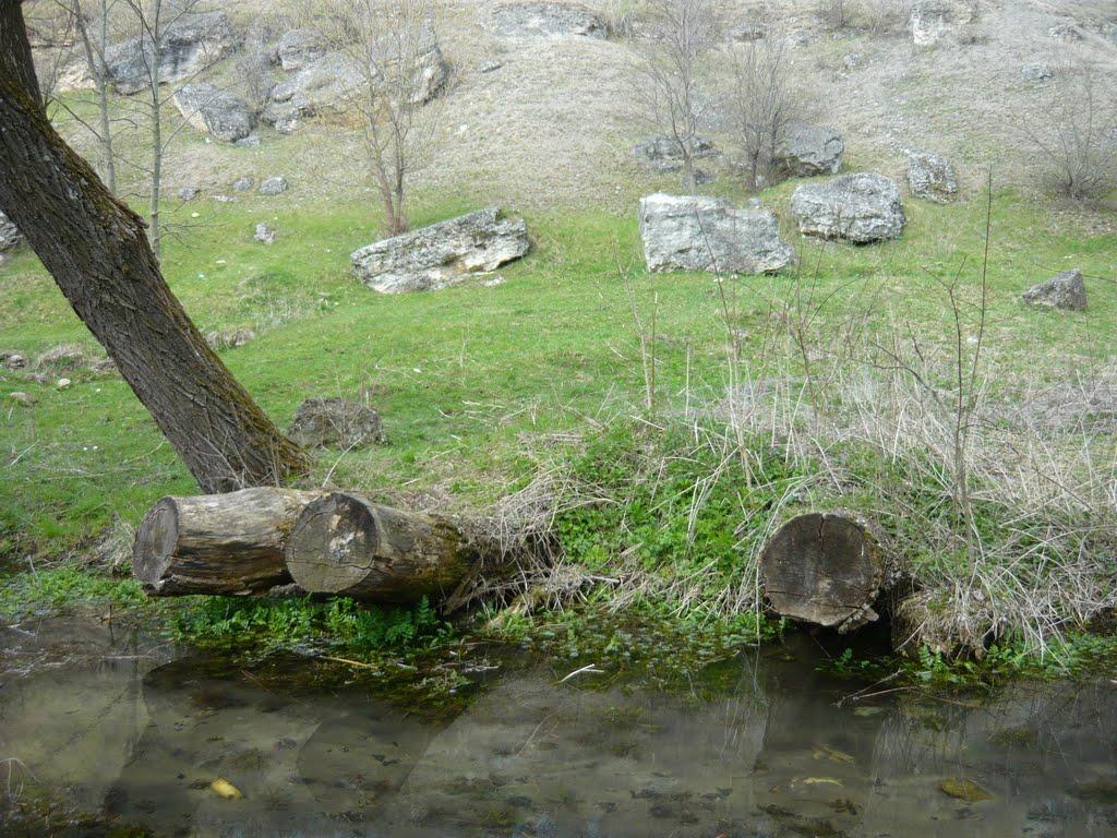 Миролюбівка з panoramio.com - Миролюбівка