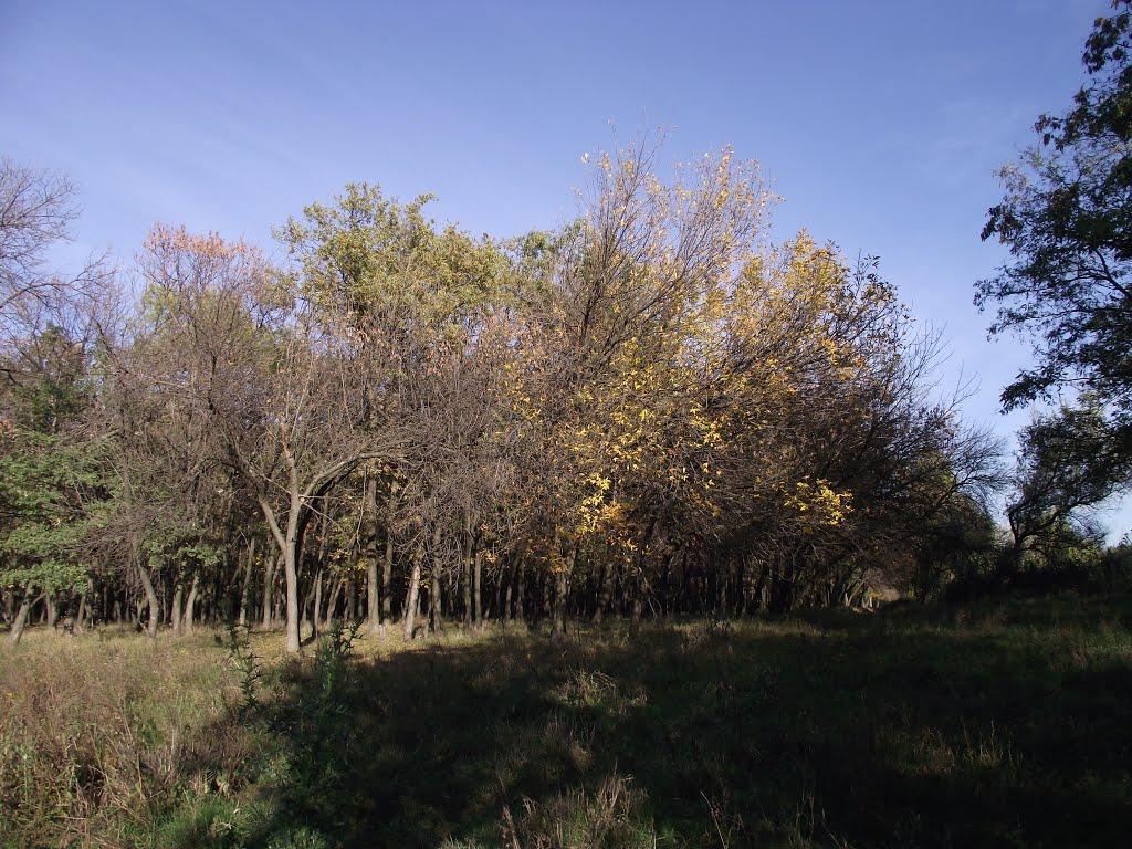 Кремінець з panoramio.com - Кремінець