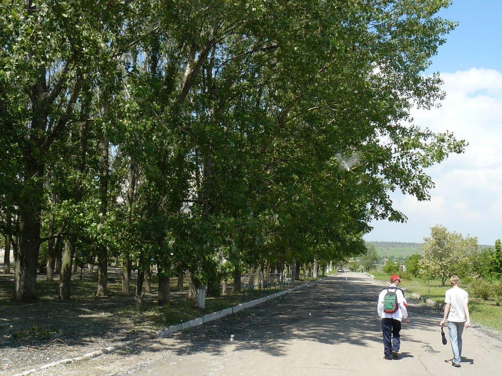Степногірськ з panoramio.com - Степногорск
