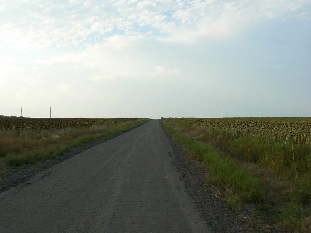 Куйбишеве з panoramio.com - Kuybisheva