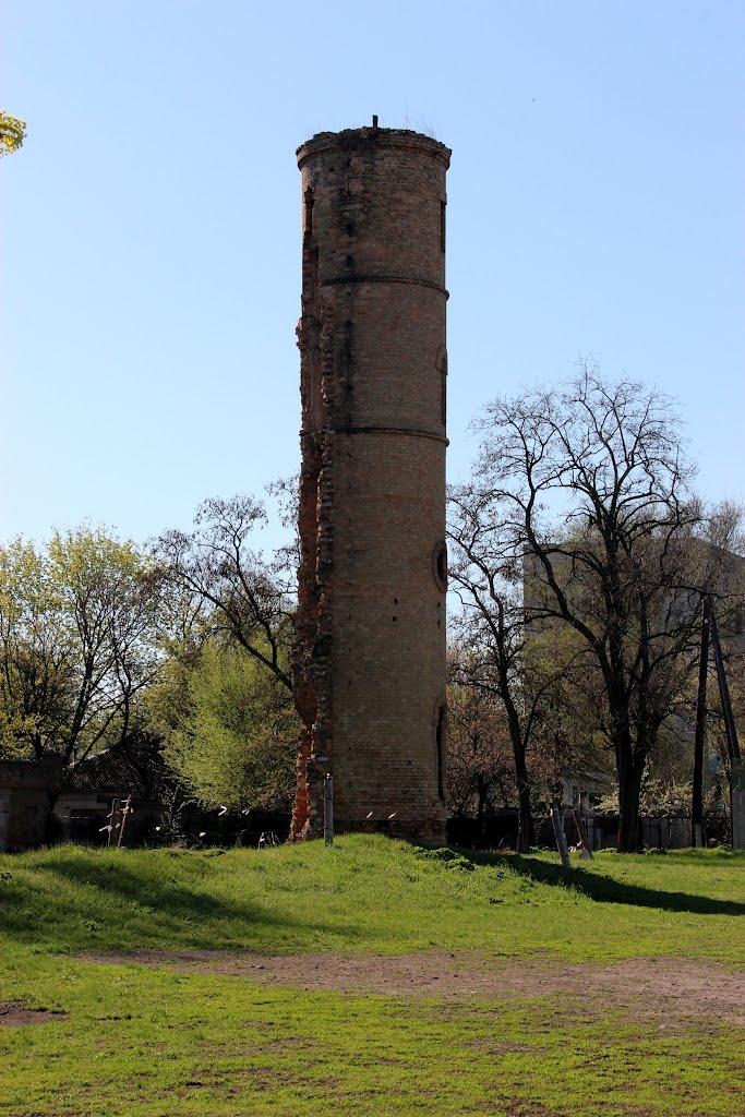 Василівка з panoramio.com - Василевка