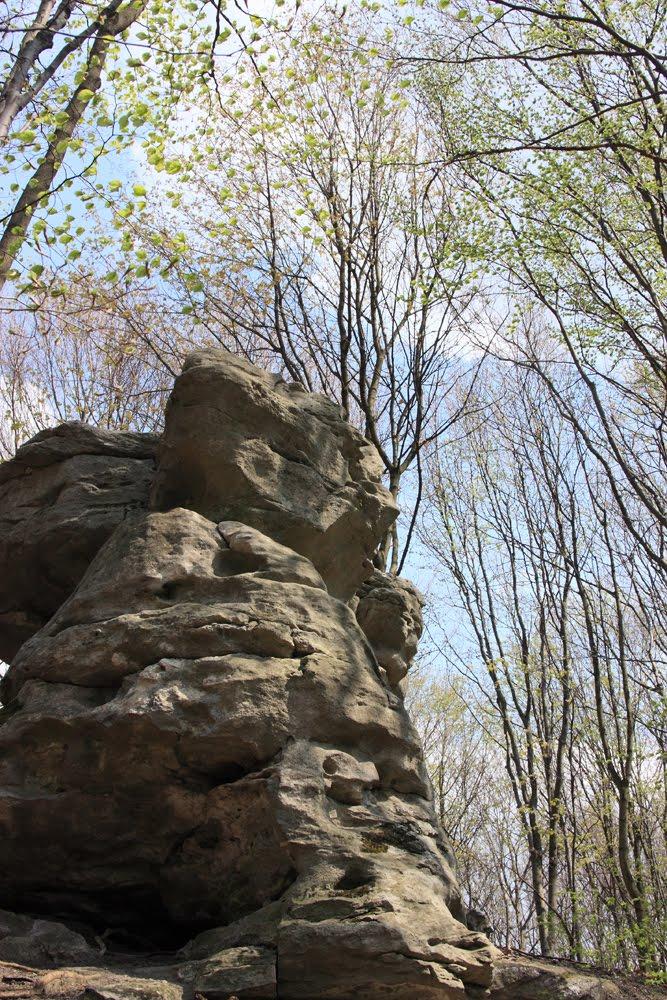 Видра з panoramio.com - Видра