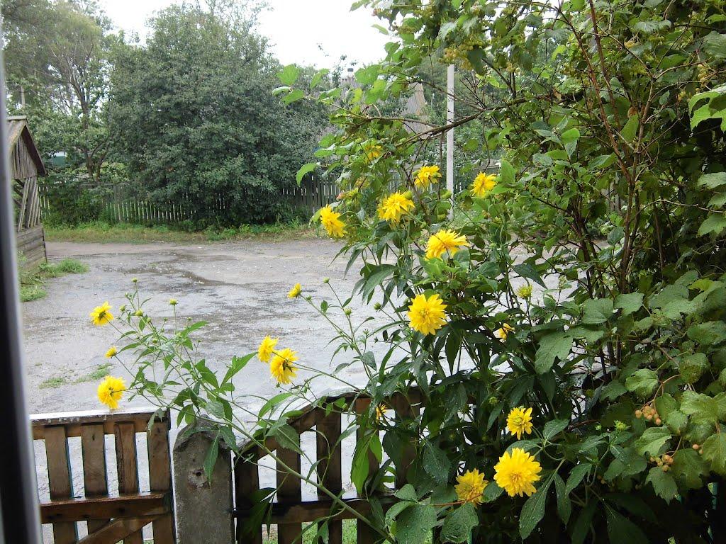 Ганнусине з panoramio.com - Ганнусине