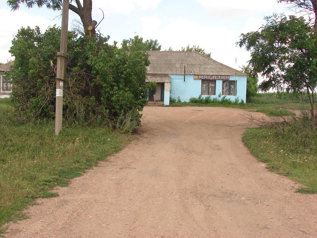 Рози Люксенбург з panoramio.com - Новое Шахово