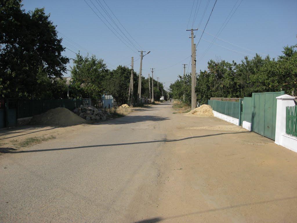 Петрівка з panoramio.com - Петрівка