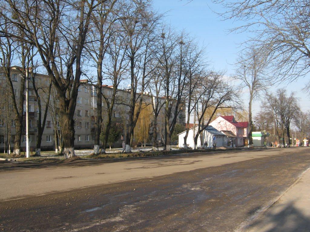 Бурштин з panoramio.com - Burshtyn