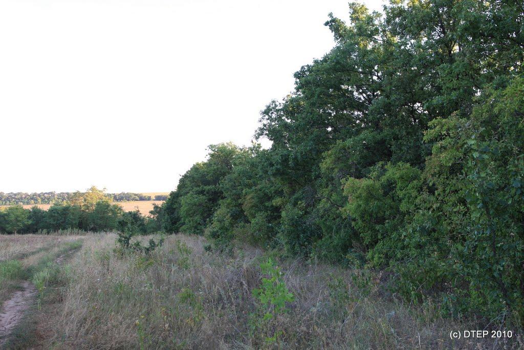Новобахмутівка з panoramio.com - Новобахмутовка