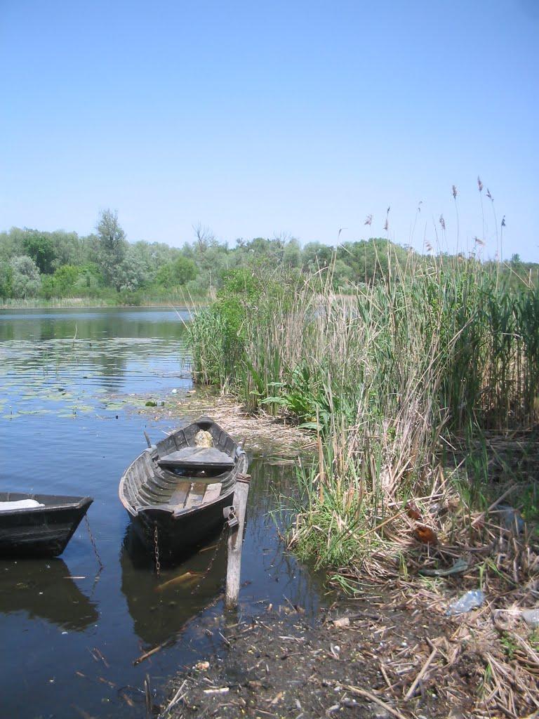 Козачі Лагері з panoramio.com - Козачие Лагеря