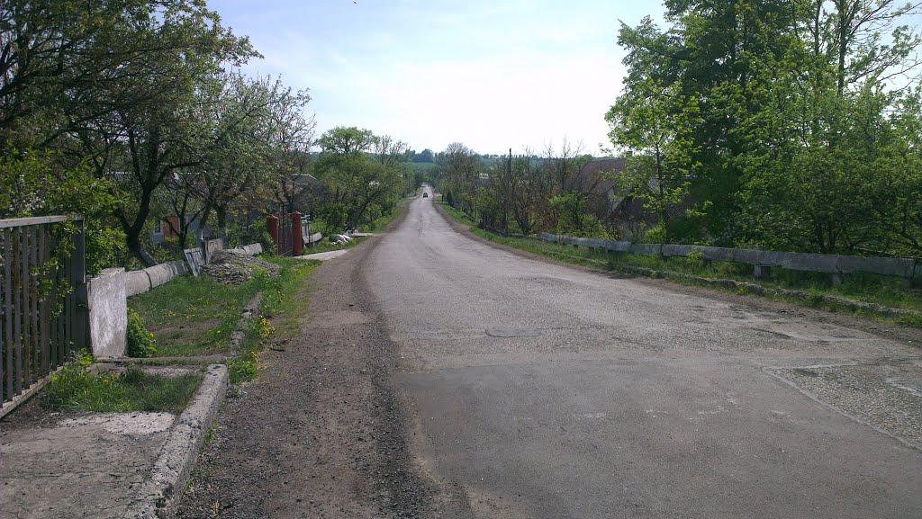 Новиця з panoramio.com - Новиця