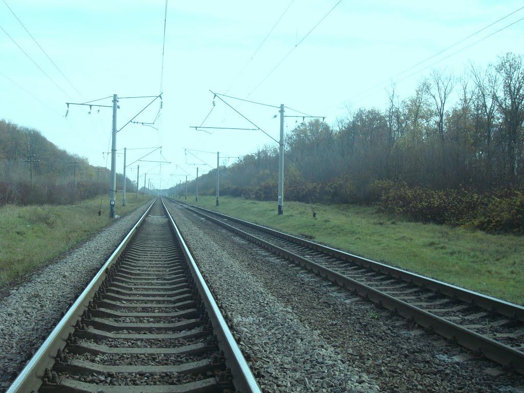 Грузевиця з panoramio.com - Грузевиця