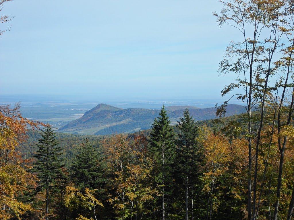 Гута з panoramio.com - Гута