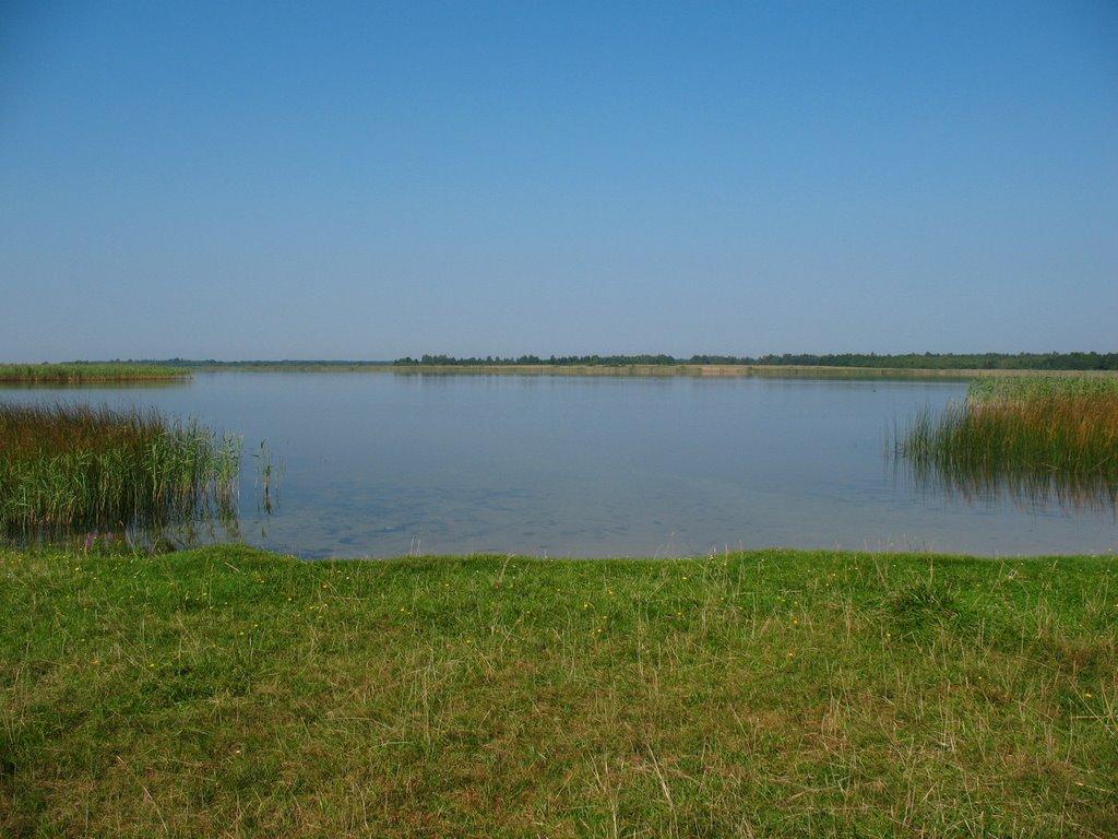 Дубечне з panoramio.com - Дубечне