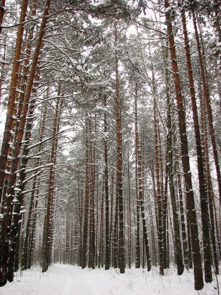 Червона Гута з panoramio.com - Червона Гута