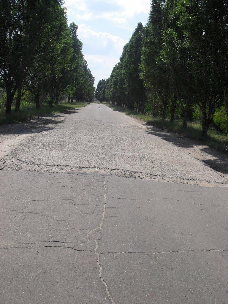 Кремінна з panoramio.com - Кременная