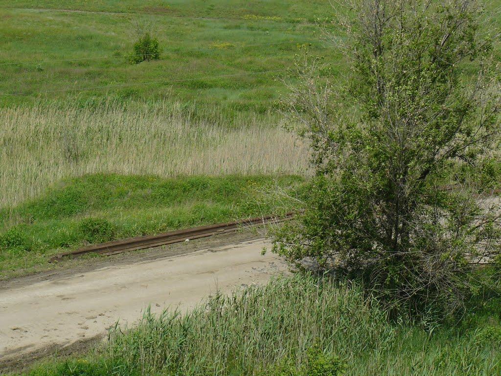 Степногірськ з panoramio.com - Степногірськ