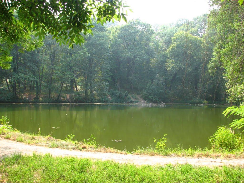 Краснокутськ з panoramio.com - Краснокутск