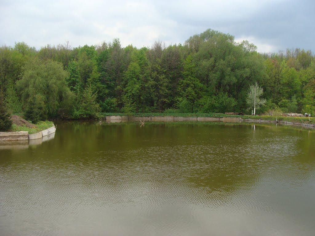 Нова Березівка з panoramio.com - Нова Березівка