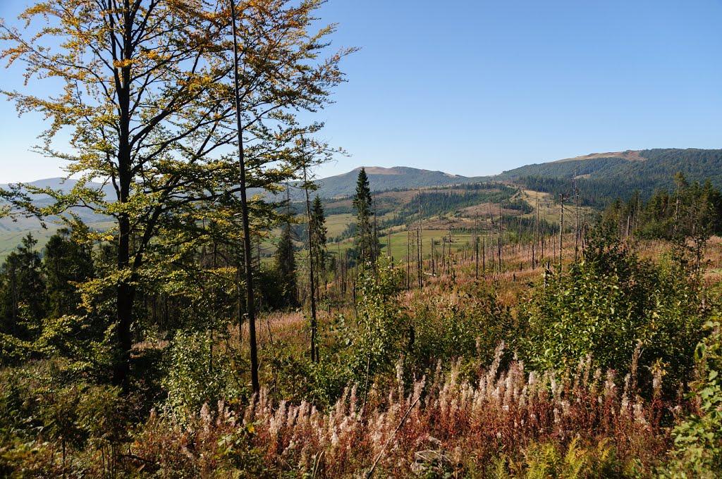 Ужок з panoramio.com - Ужок