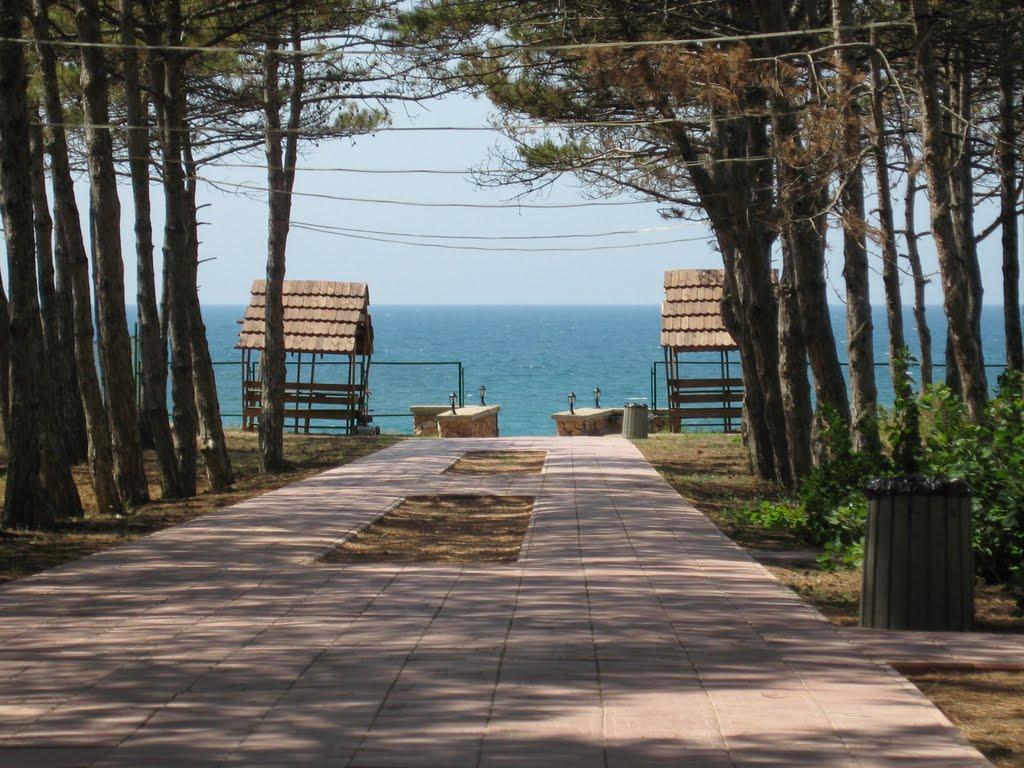 Веселівка з panoramio.com - Веселовка