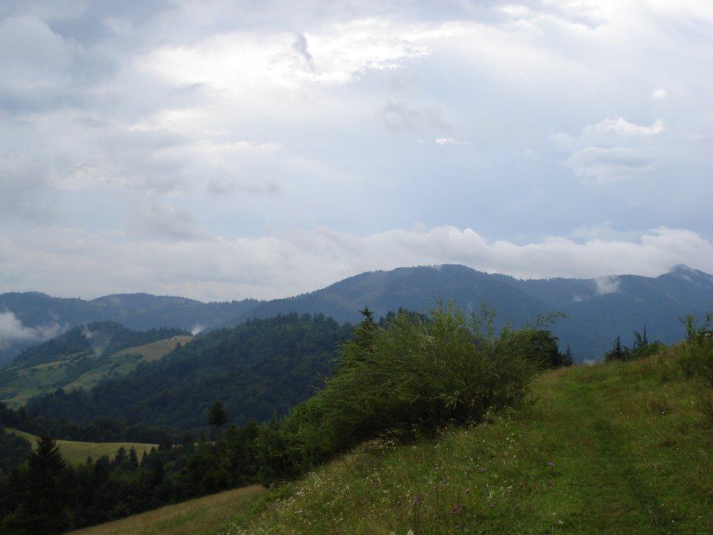 Карпати з panoramio.com - Карпаты